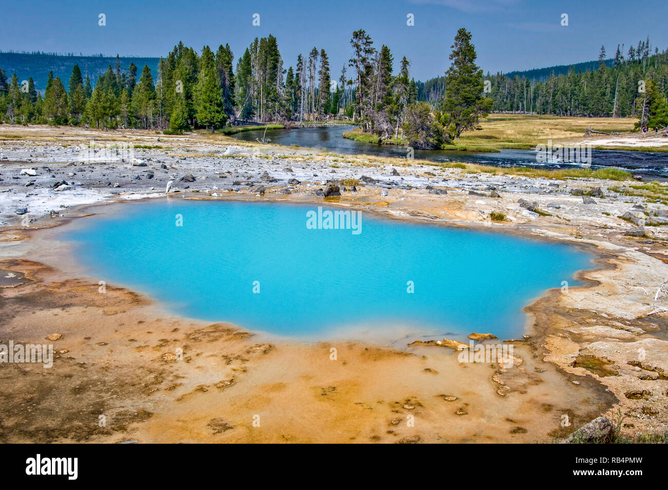 Biscuit chaud bassin springl, Parc National de Yellowstone, États-Unis Banque D'Images
