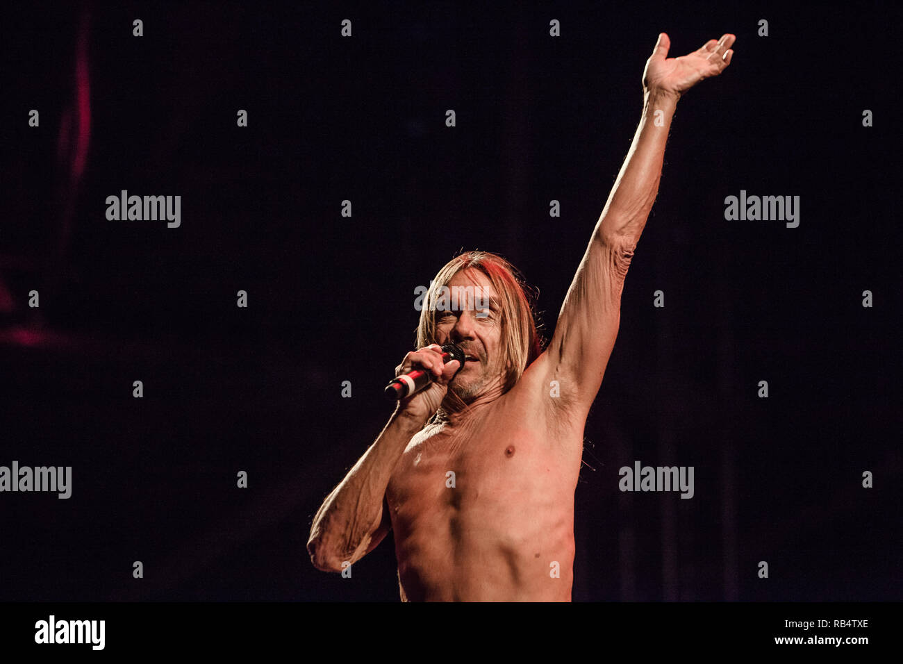 Le chanteur, musicien, acteur et légende rock Iggy Pop effectue un concert live au Danish Music Festival 2016 NorthSide à Aarhus. Le Danemark, 17/06 2016. À l'exception du Danemark. Banque D'Images