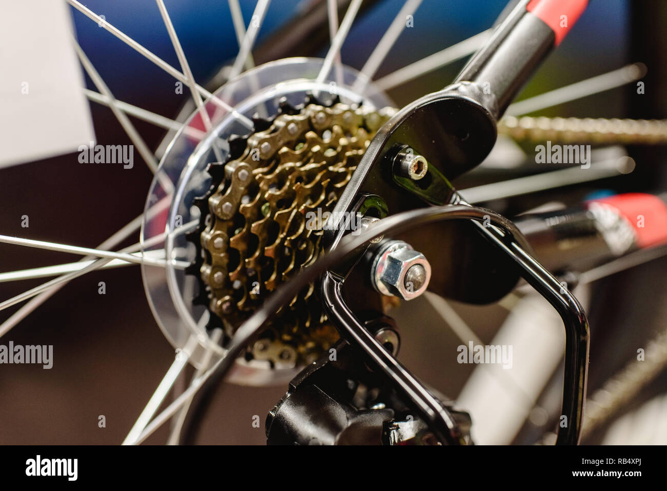 Cassette sur la roue arrière d'un vtt pour changer de vitesse Photo Stock -  Alamy