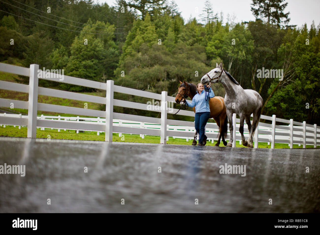 Jeune entraîneur de chevaux l'exercice de son cheval. Banque D'Images