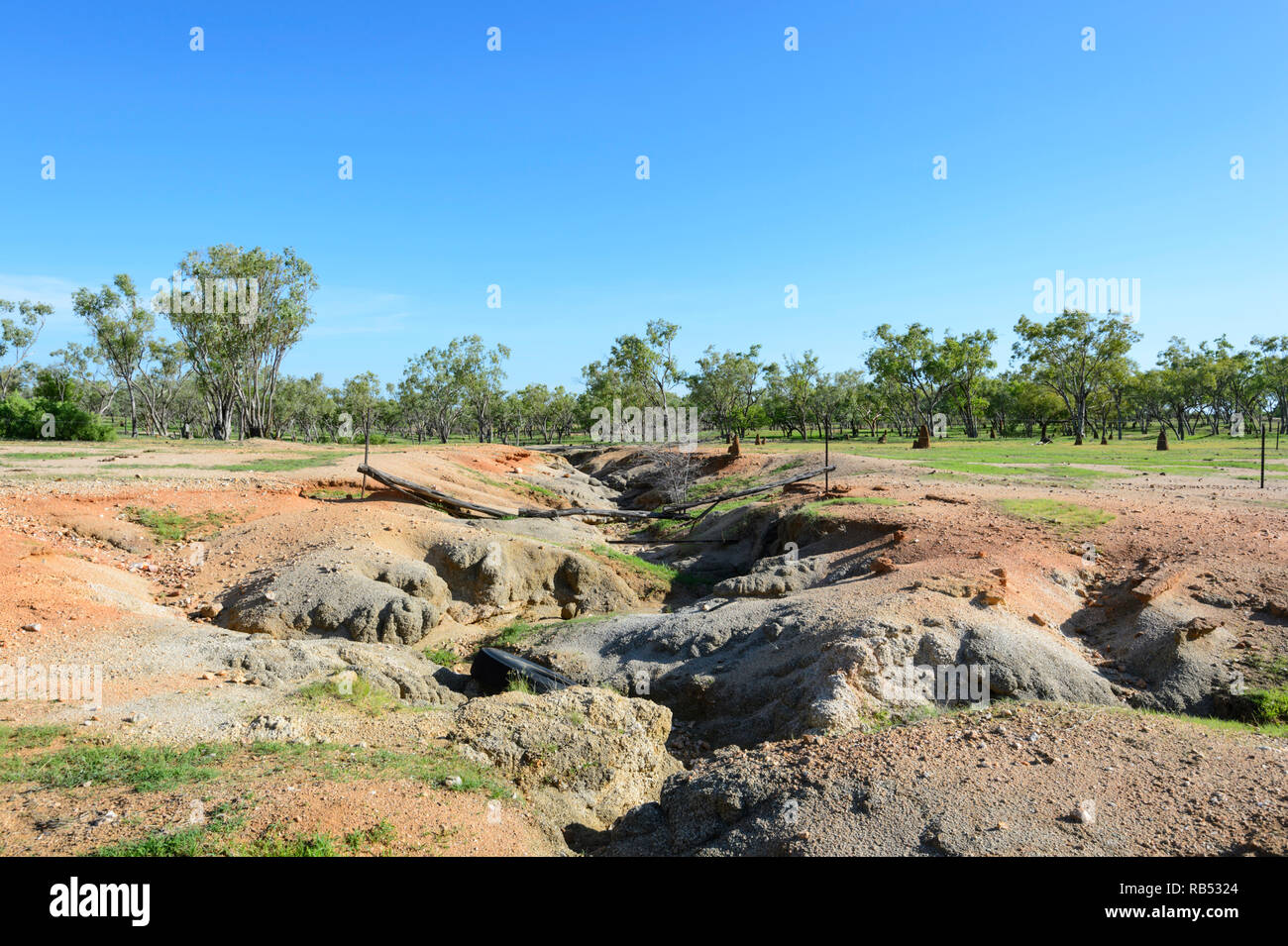 L'érosion le long d'une crique près de Mt Surprise, Savannah Way, Queensland, Queensland, Australie Banque D'Images