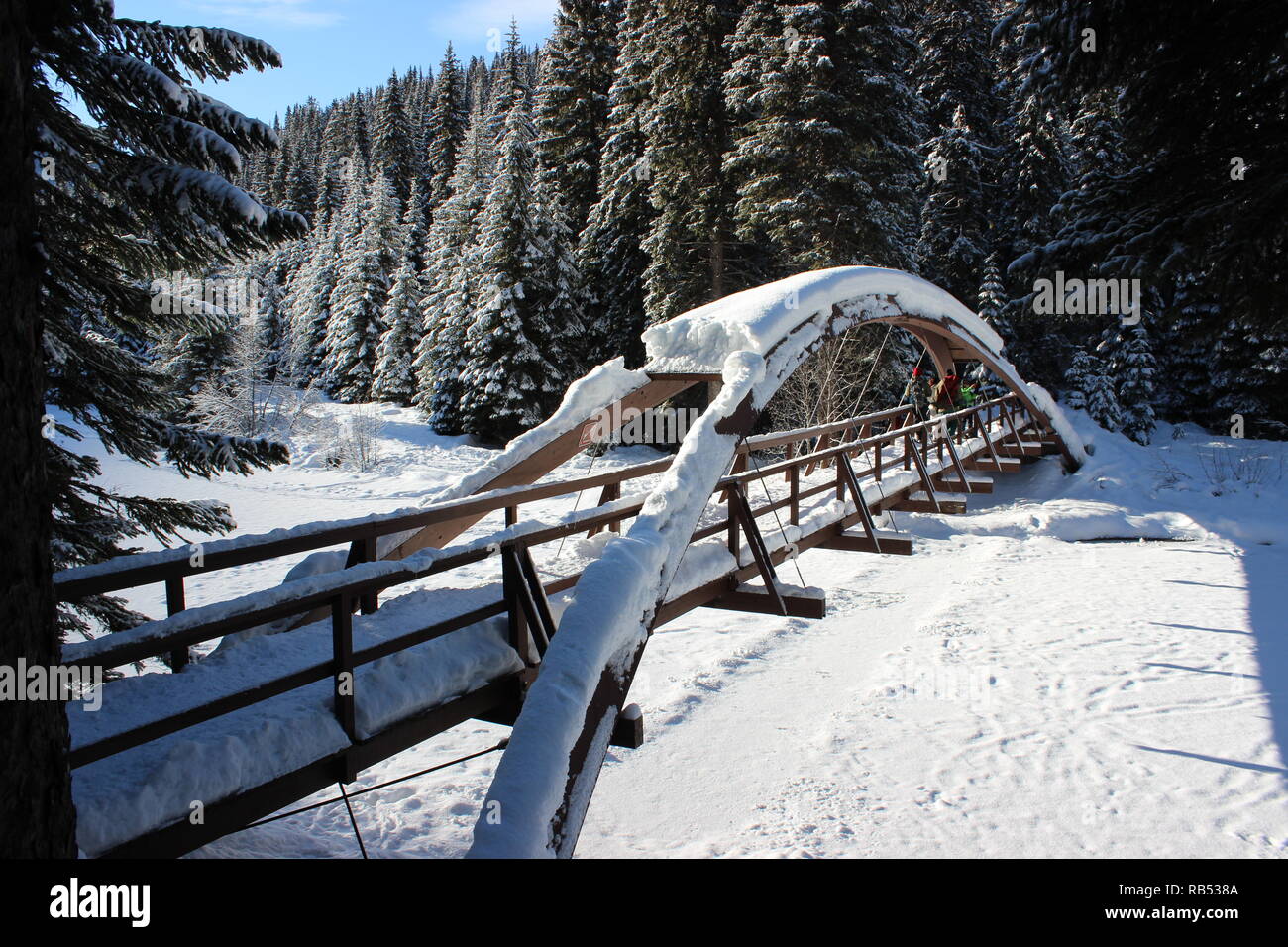 Pont en arc-en-ciel dans le Harfang Manning Park Banque D'Images