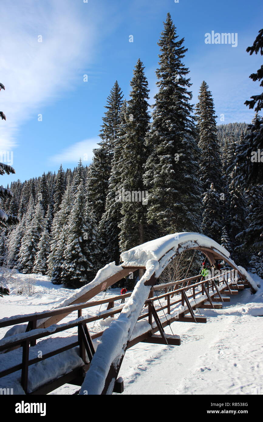 Pont en arc-en-ciel dans le Harfang Manning Park Banque D'Images