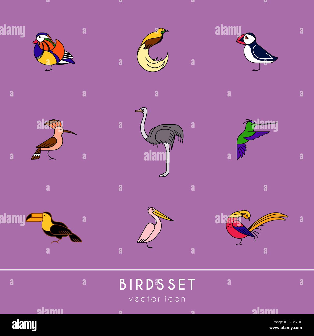 Les oiseaux sont des espèces différentes. Les icônes de couleur définie. Peut être utilisé pour le logo, print, web site Illustration de Vecteur