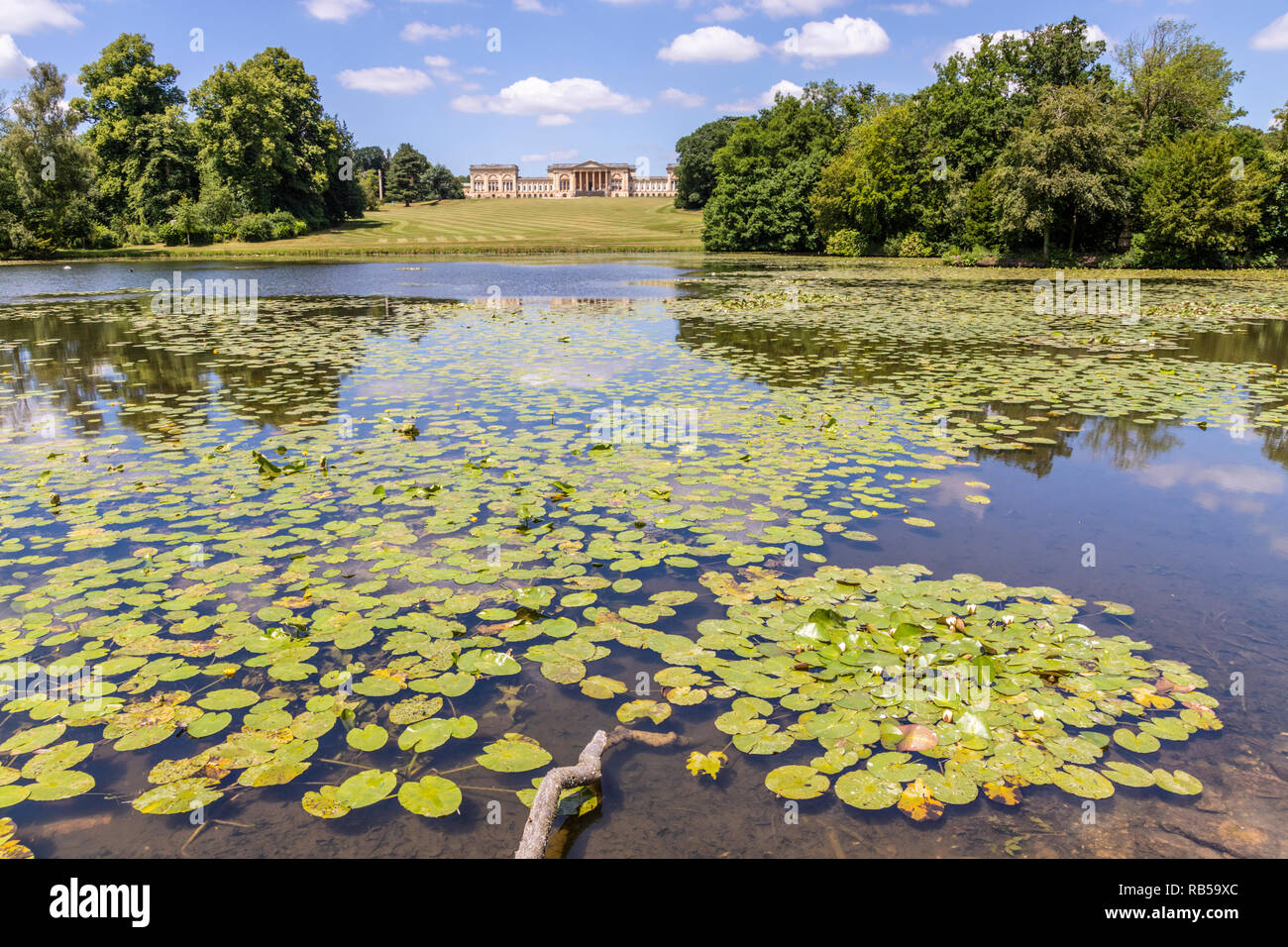 Nénuphars sur le lac à Stowe House Gardens, Buckinghamshire UK Banque D'Images