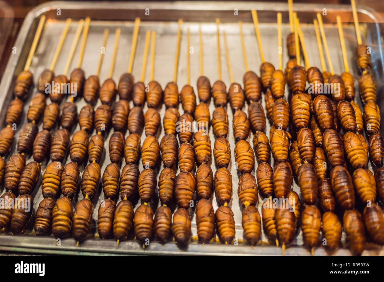 Grill et fried pupae du ver à soie sur stick de la rue Wangfujing à Beijing, Chine Banque D'Images