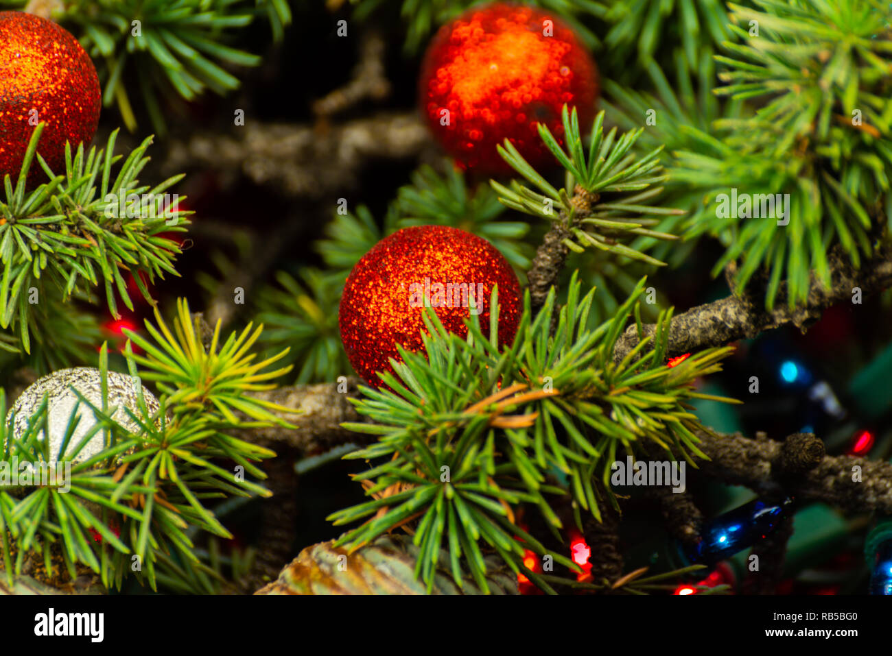 La direction générale de l'arbre de Noël et des boules de Noël, décorations, libre de contexte Banque D'Images