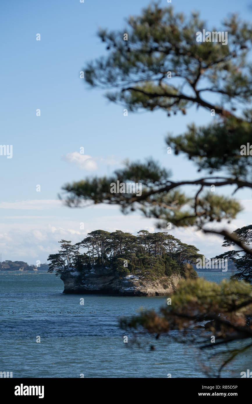 Matsushima Bay dans la région de Tohoku, Japon Banque D'Images