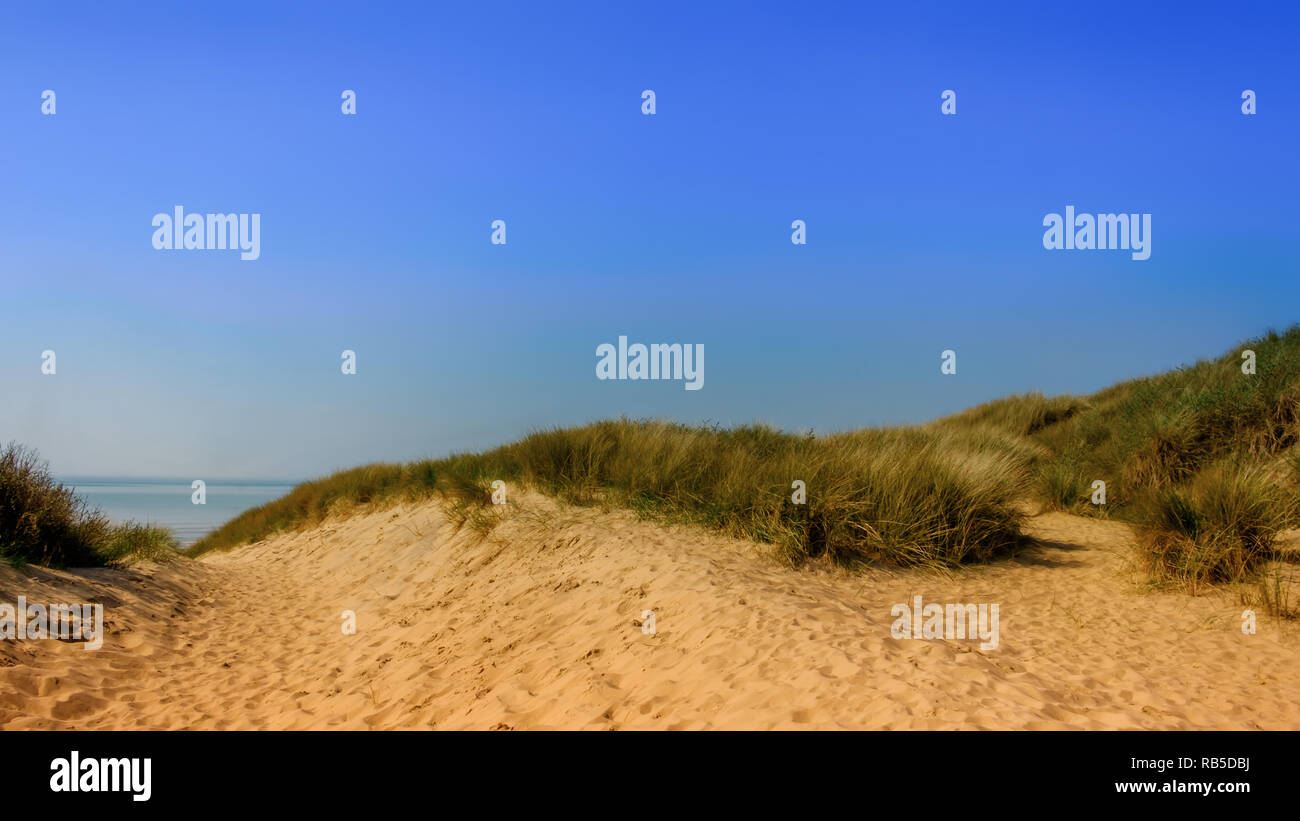 Gros plan sur la dune de Camber Sands Beach, East Sussex, Royaume-Uni Banque D'Images