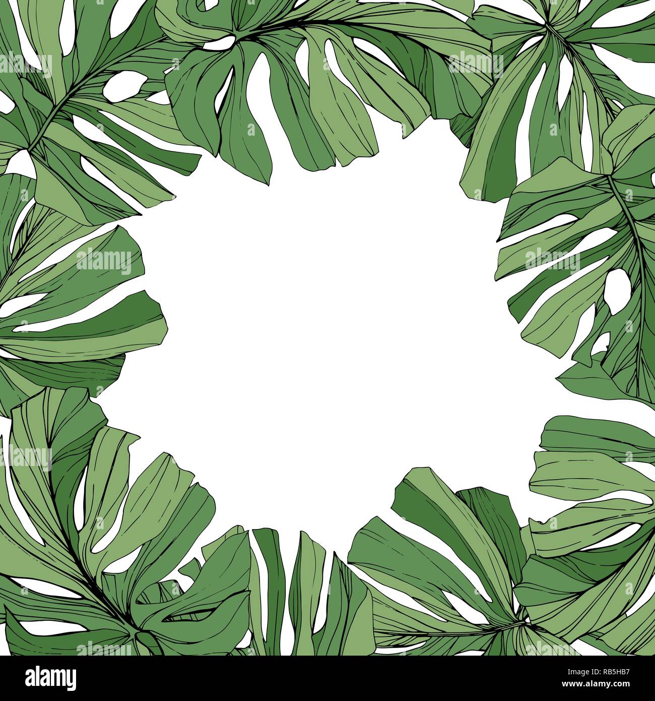 Botanique Plante Feuille Verte Vecteur De Feuillage Encre Palm Beach Art Grave De Feuilles D Arbres Bordure De Cadre Carre Ornement Image Vectorielle Stock Alamy
