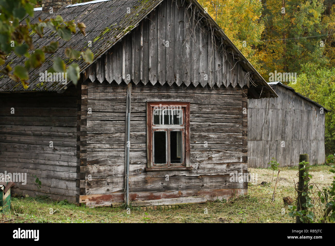 Vieille maison dans les bois Banque de photographies et d’images à