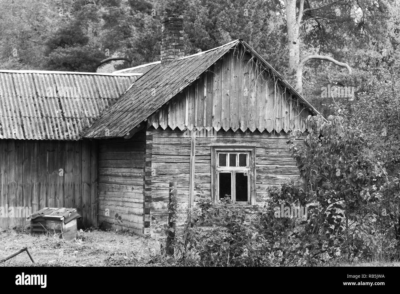 Belle vieille maison en bois dans une petite forêt de campagne. Banque D'Images