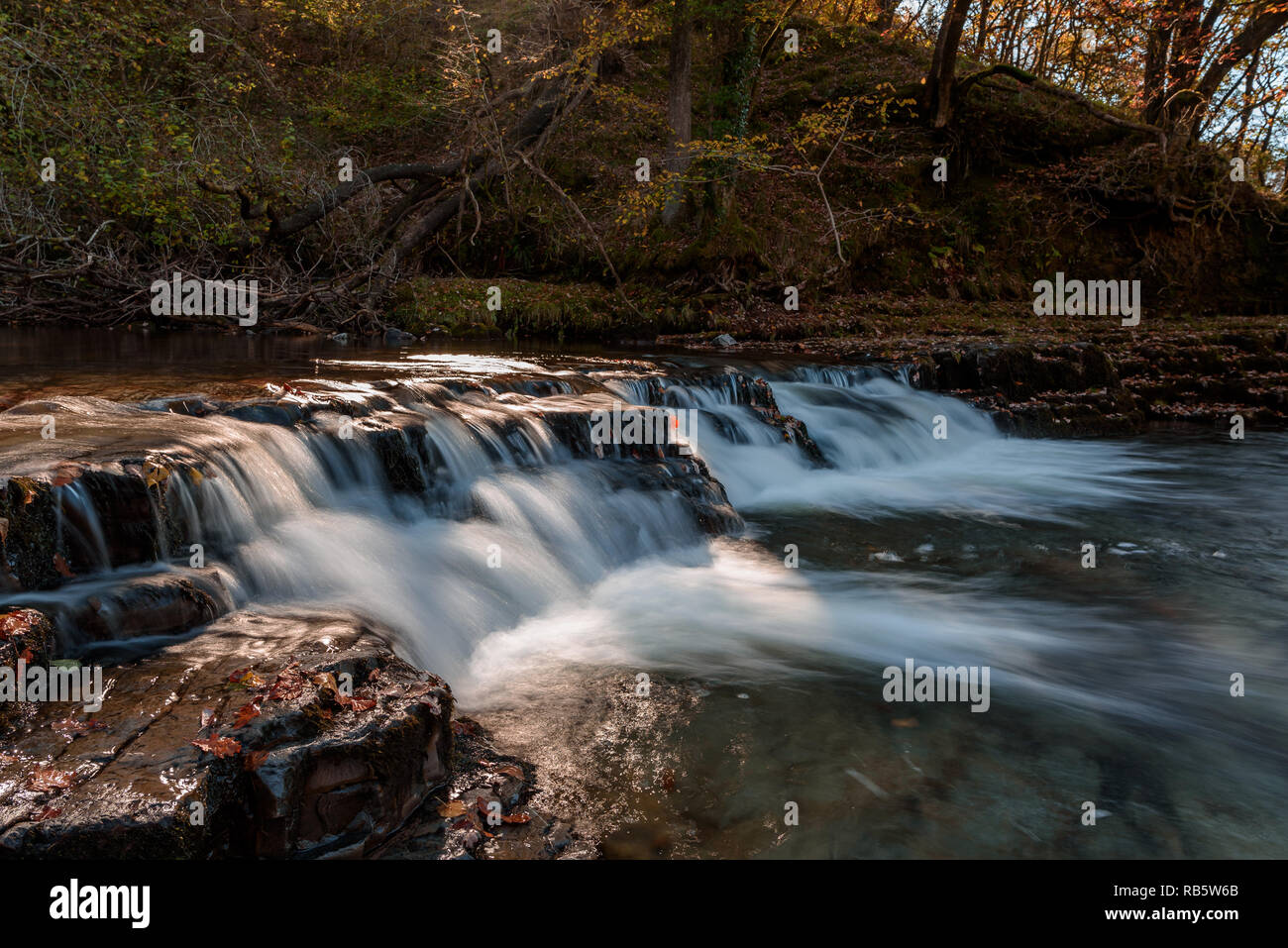 Chute d'Ddwli Uchaf près de pontneddfechan dans le parc national de Brecon Beacons, le Pays de Galles. C'est l'automne, et les feuilles sont d'or tout autour. Banque D'Images