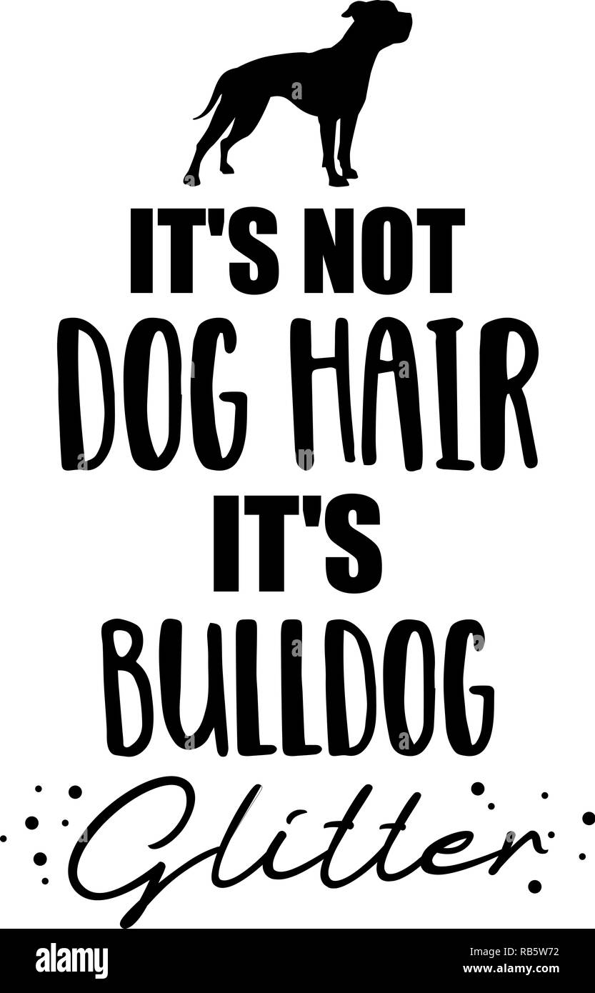 Ce n'est pas des poils de chien, c'est American Bulldog slogan glitter Banque D'Images