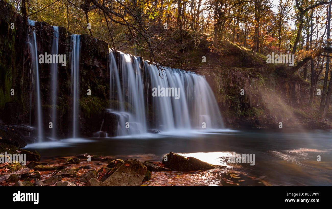 Ddwli pontneddfechan Cascade près de la FIAS dans le parc national de Brecon Beacons, le Pays de Galles. C'est l'automne, et les feuilles sont d'or tout autour. Banque D'Images