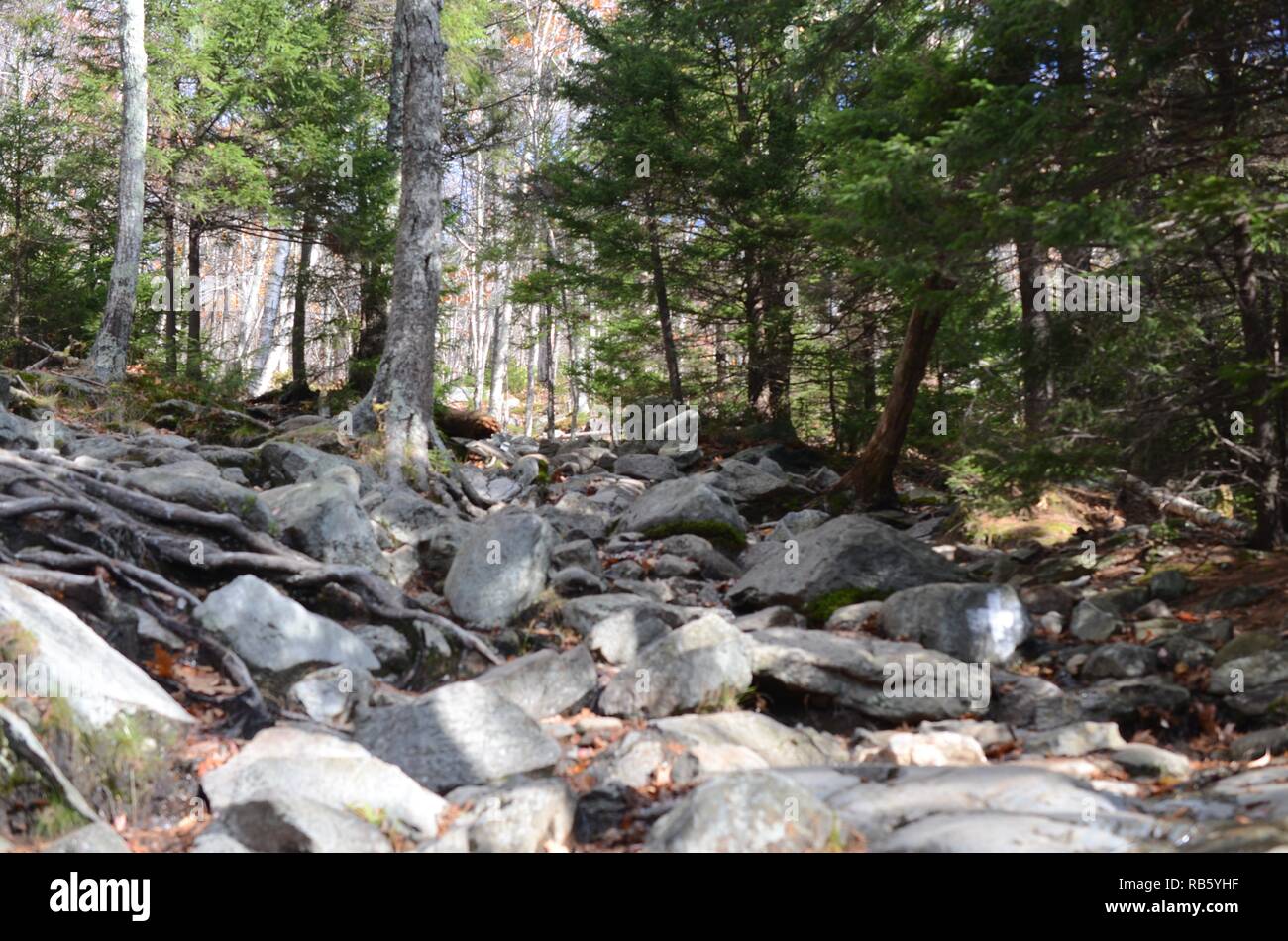 Vue panoramique des montagnes Blanches du New Hampshire, United States, décembre, 2018. () Banque D'Images