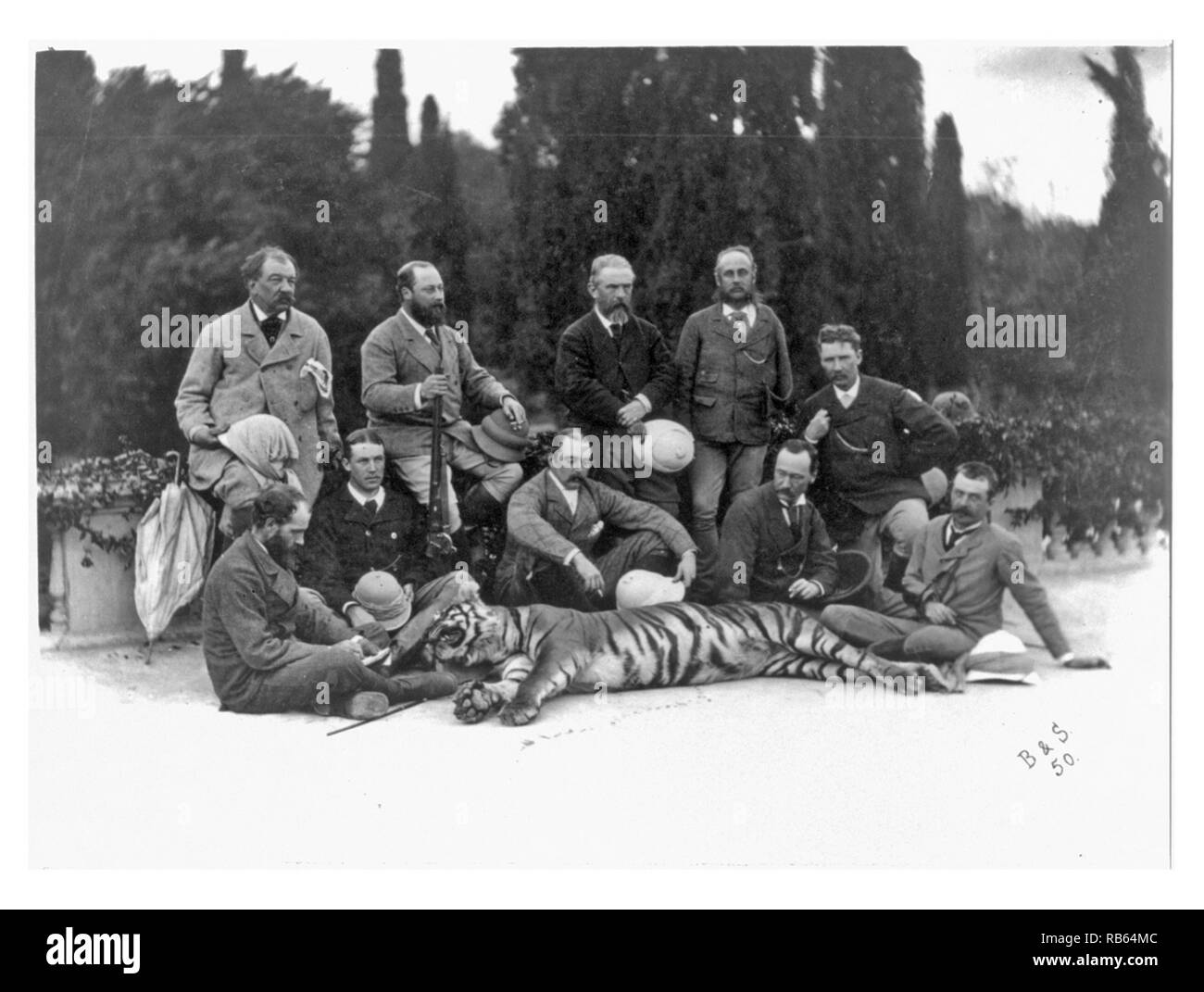 Photographie du Prince de Galles, futur roi Édouard VII (de Grande-Bretagne), holding rifle, posant avec les membres de son parti et d'un tigre, durant son tour de l'Inde. Datée 1875 Banque D'Images