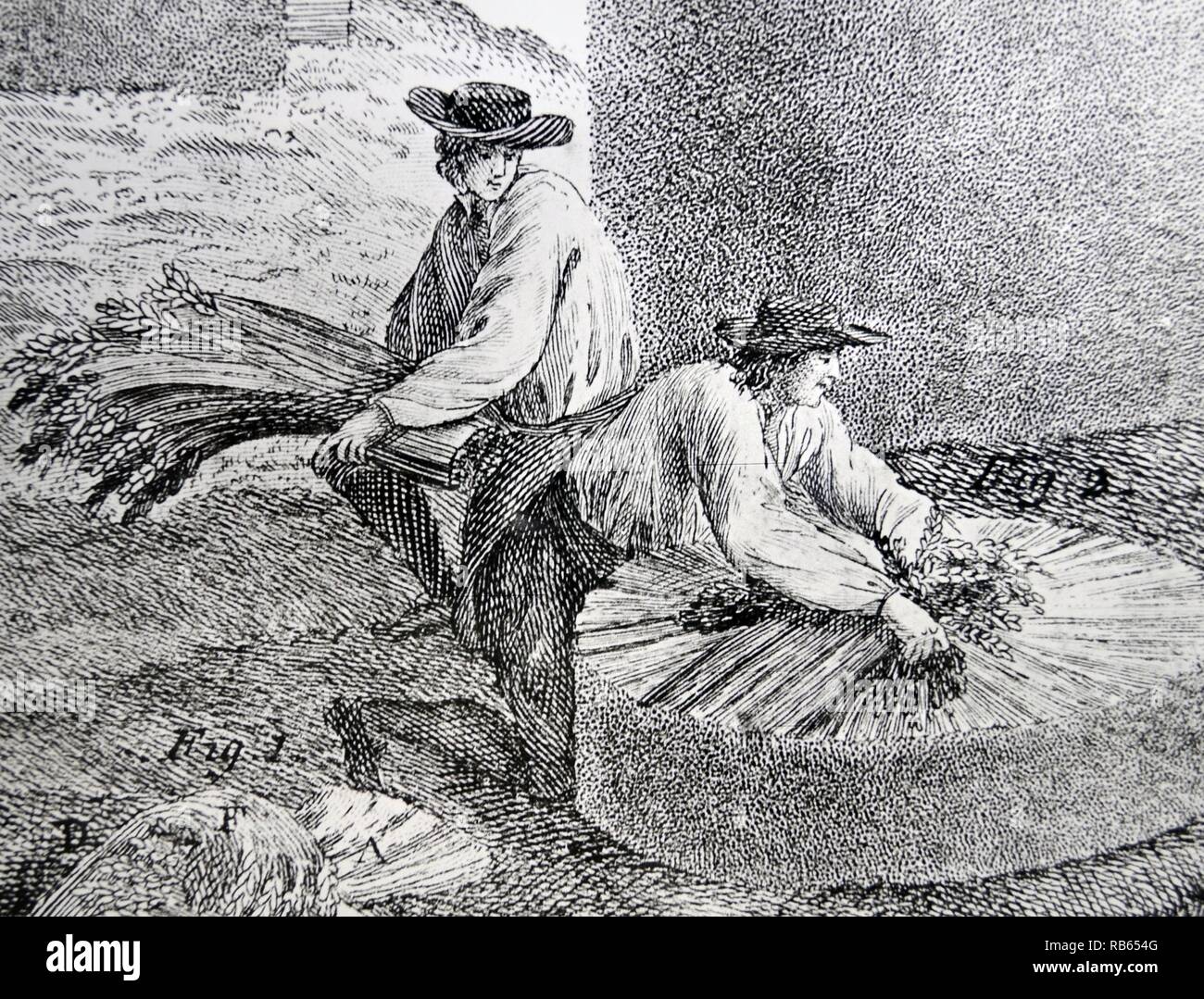 Les ouvriers agricoles commencent à construire une pile provisoires de blé. Dans ''Cours complet d'Agriculture ...'' par François Rozier, Paris, 1793-1800. Banque D'Images