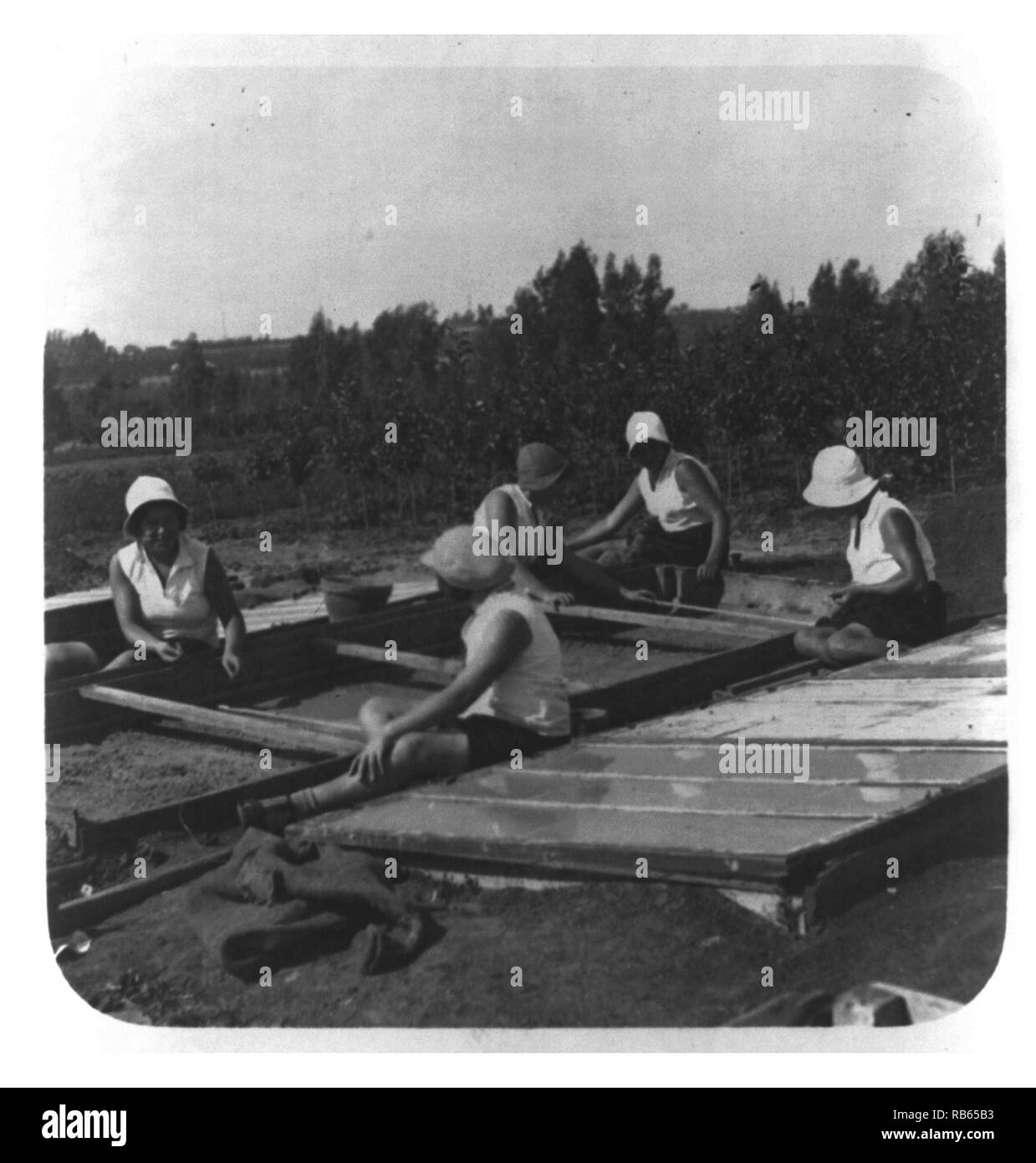 Les filles juives travaillant parmi les cadres en verre sur une exploitation agricole en Palestine. Entre 1920 et 1930 Banque D'Images