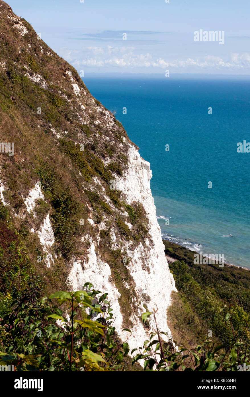 Vue depuis la falaise, chemin de la falaise Est, avec le Warren Country Park ci-dessous. L'accès est de la falaise Café New Dover Road, Capel-le-ferne. Banque D'Images