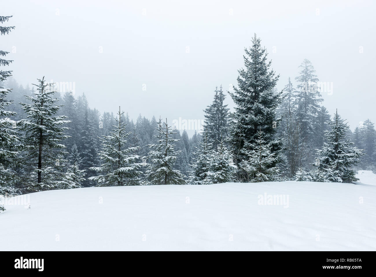 L'hiver dans la région du Gantrisch, Berner Oberland Banque D'Images