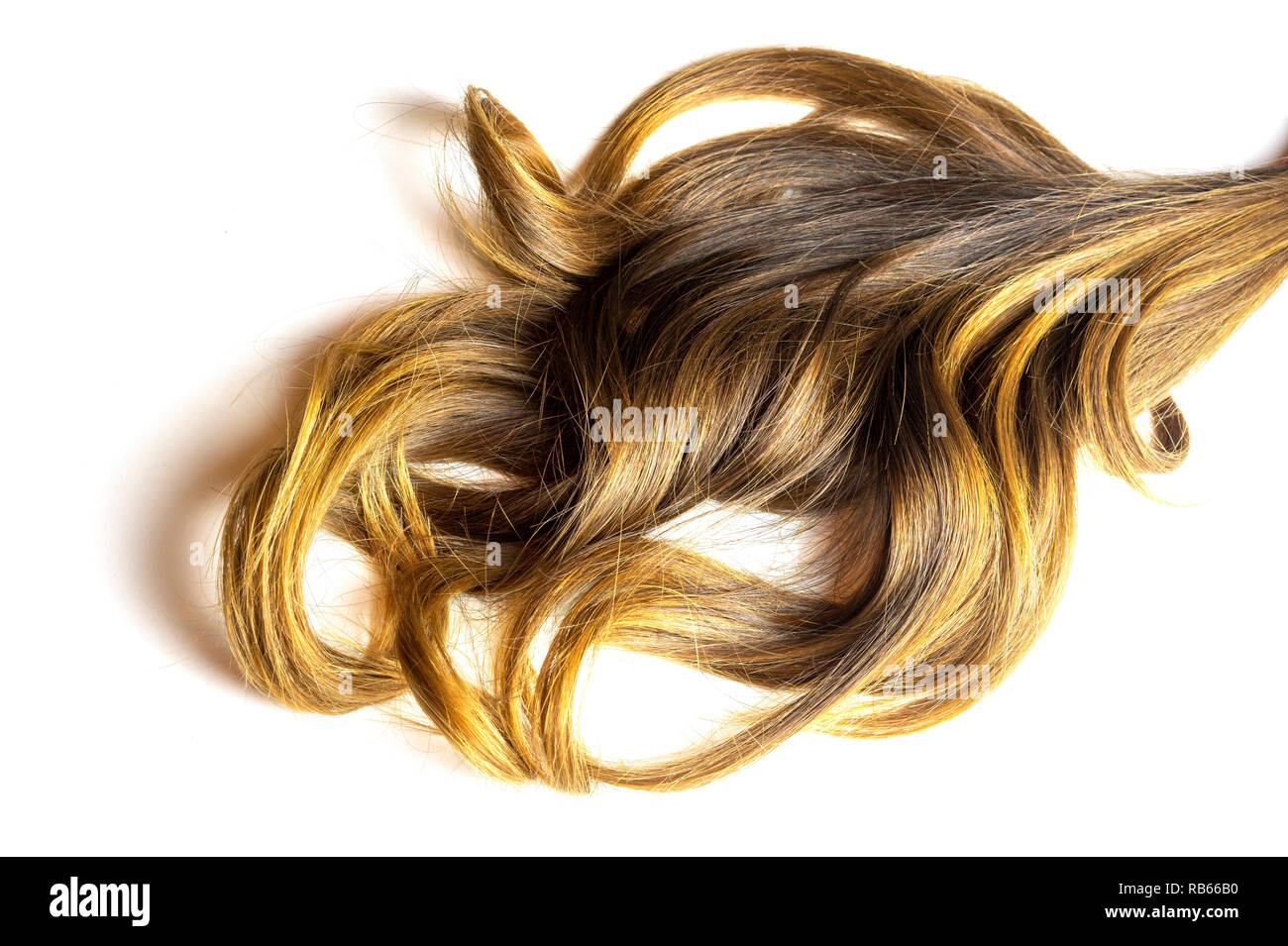Morceau de cheveux brillants bouclés brun sur blanc fond isolé Banque D'Images