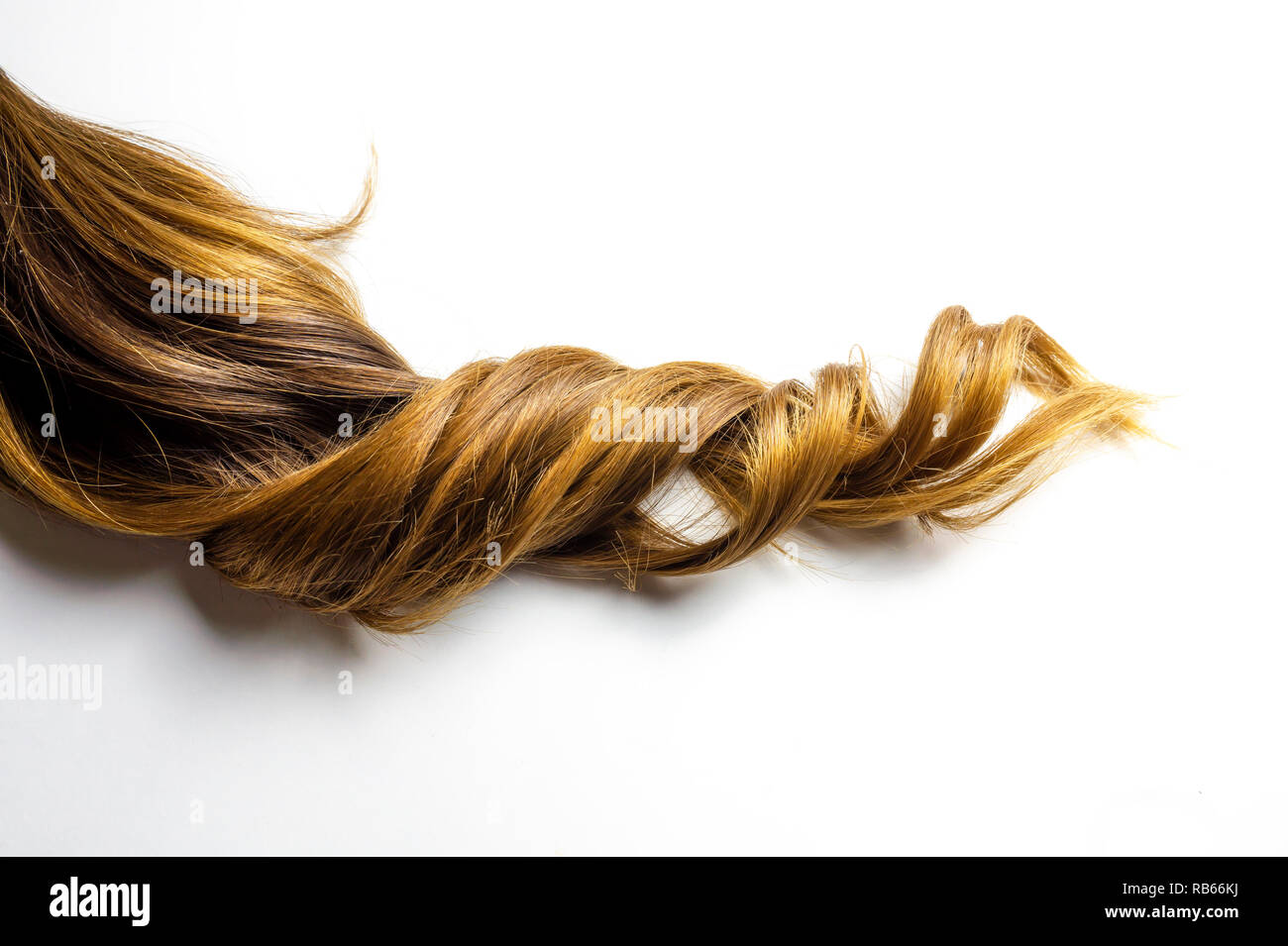 Bouclés brun brillant cheveux queue de balayage sur blanc fond isolé Banque D'Images