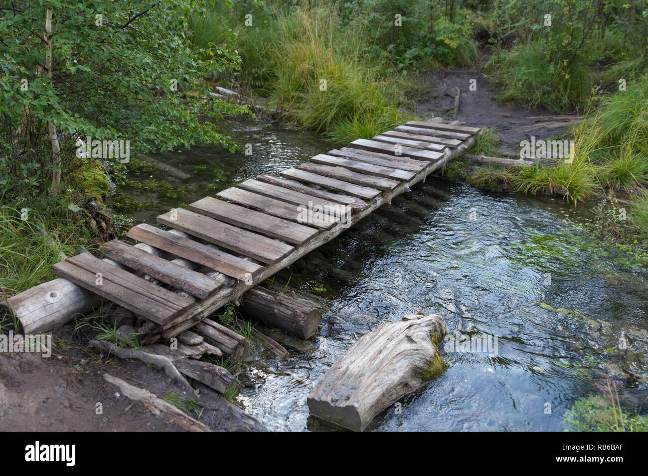 Ancien petit pont à travers une rivière dans une forêt Banque D'Images