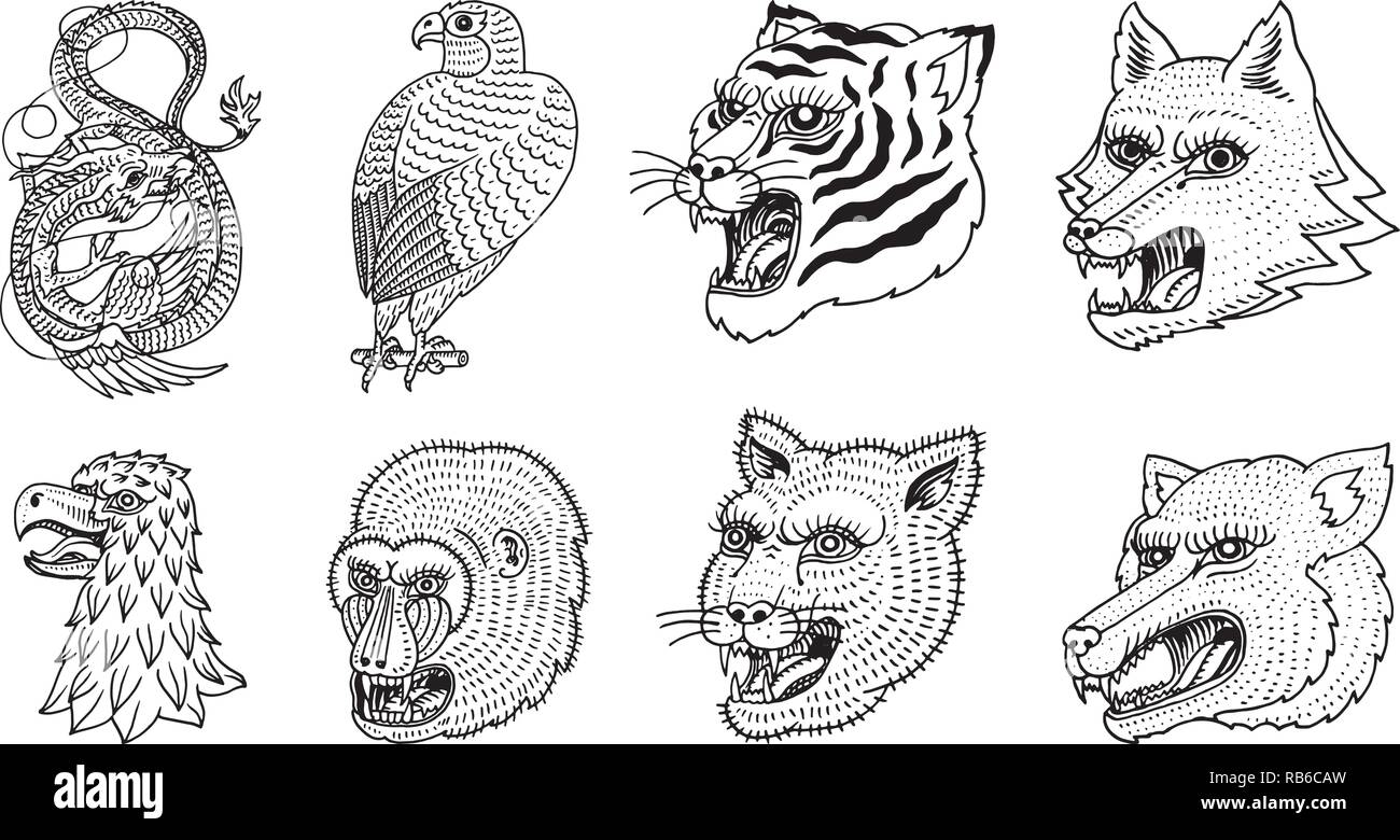 Chef de Wild Animal prédateur. Puma Wolf Fox Tiger Eagle Falcon Monkey Face  et Dragon chinois. Portraits de style japonais. Gravé à la main vieille  monochrome rétro Esquisse pour logos. Close up