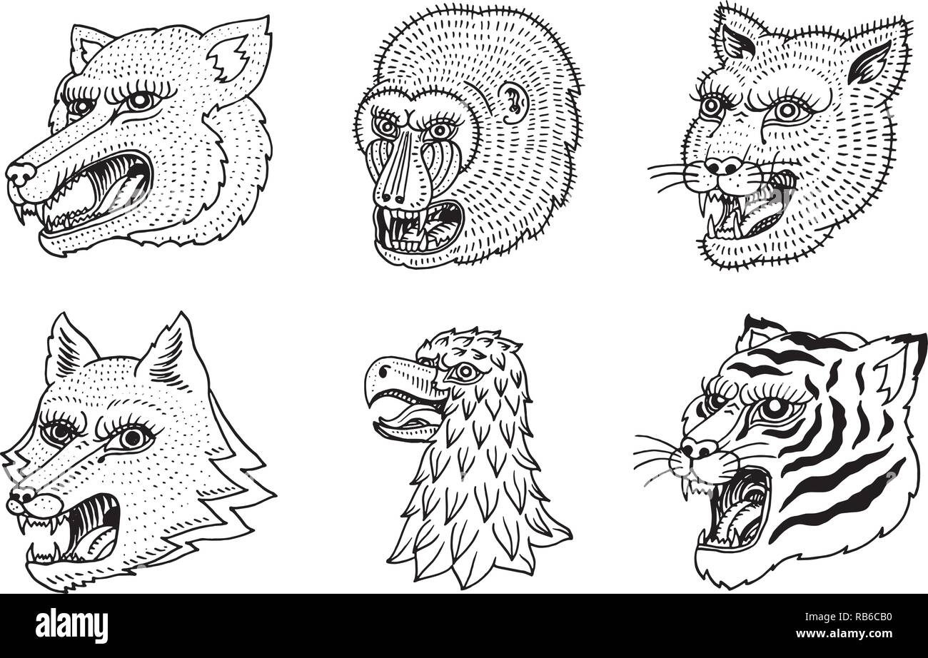 Chef de Wild Animal prédateur. Puma Wolf Fox Tiger Eagle Falcon Monkey Face. Portraits de style japonais. Gravé à la main vieille monochrome rétro Esquisse pour logos. Close up. Illustration de Vecteur