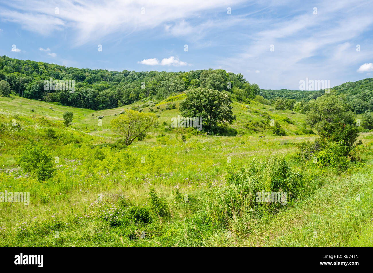 Paysage dans le Wisconsin rural Banque D'Images