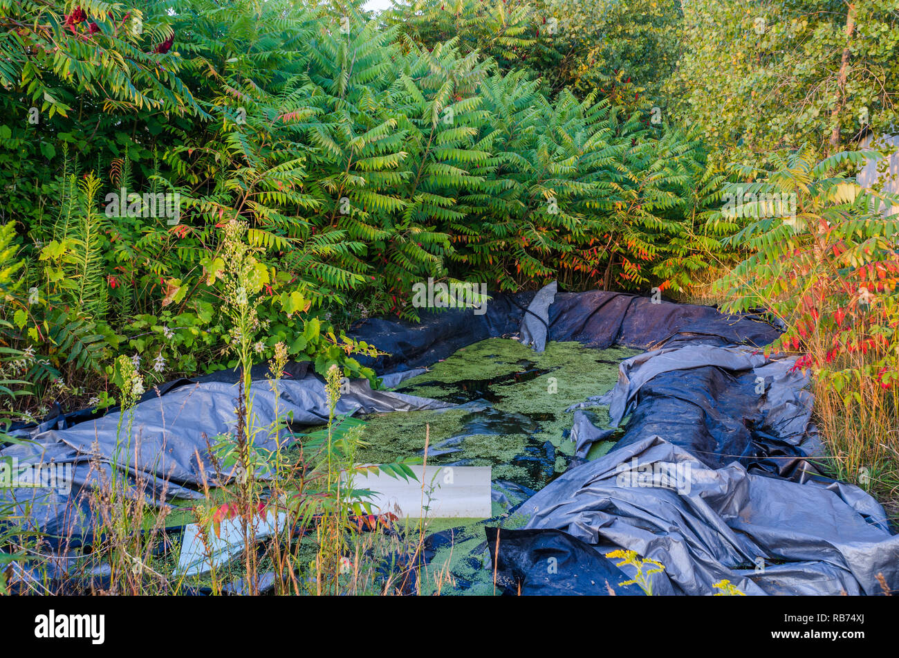 Paysage dans le Wisconsin rural Banque D'Images