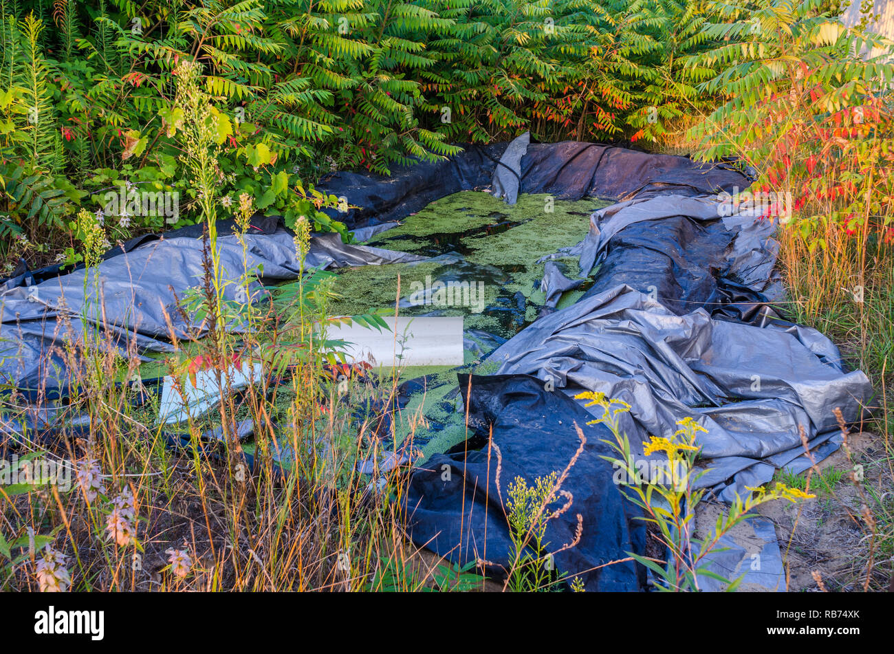 Paysage dans le Wisconsin rural Banque D'Images