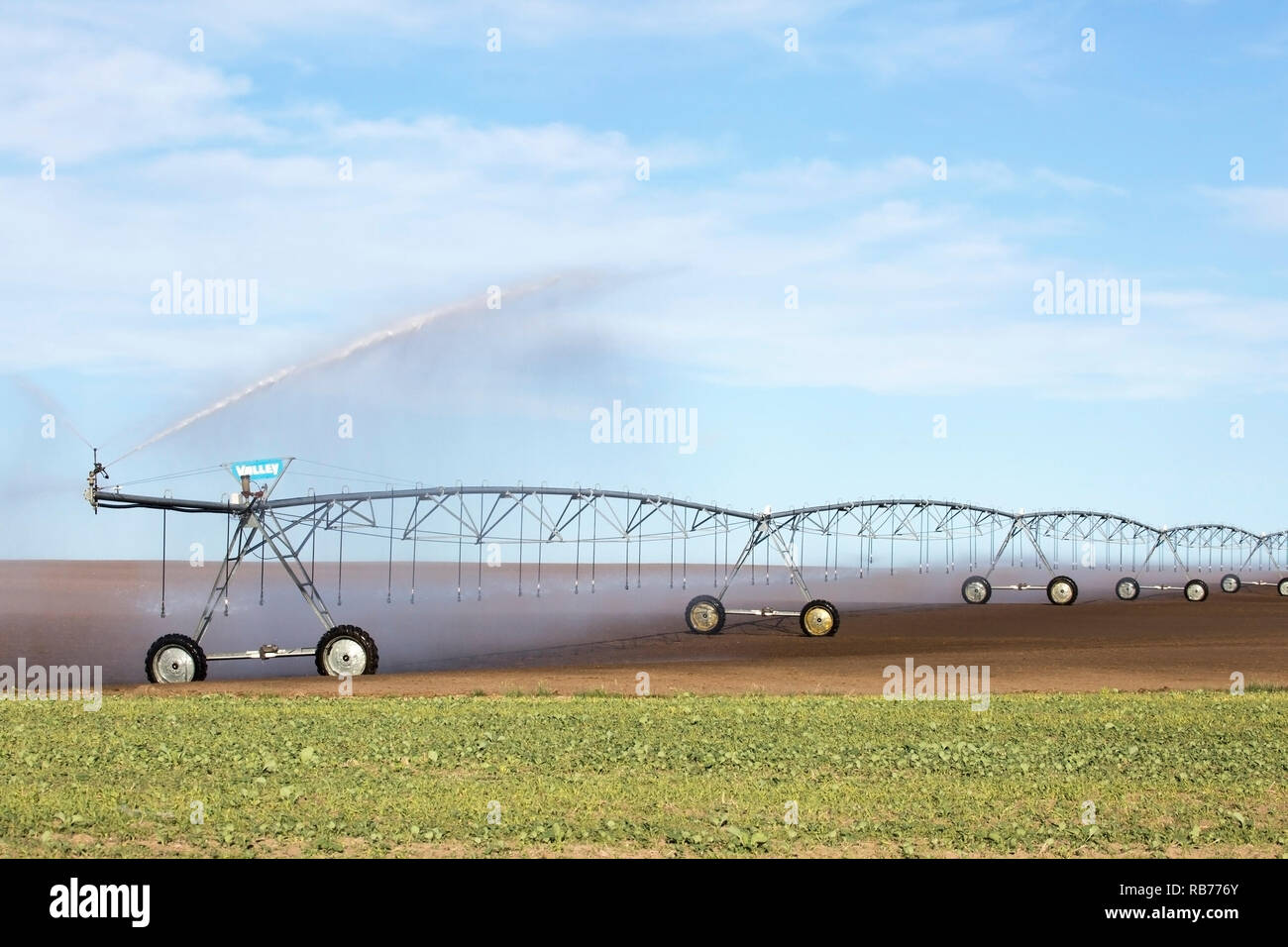 Système d'irrigation à pivot dans les champs de la ferme des Prairies, comté de Wheatland, Alberta, Canada Banque D'Images