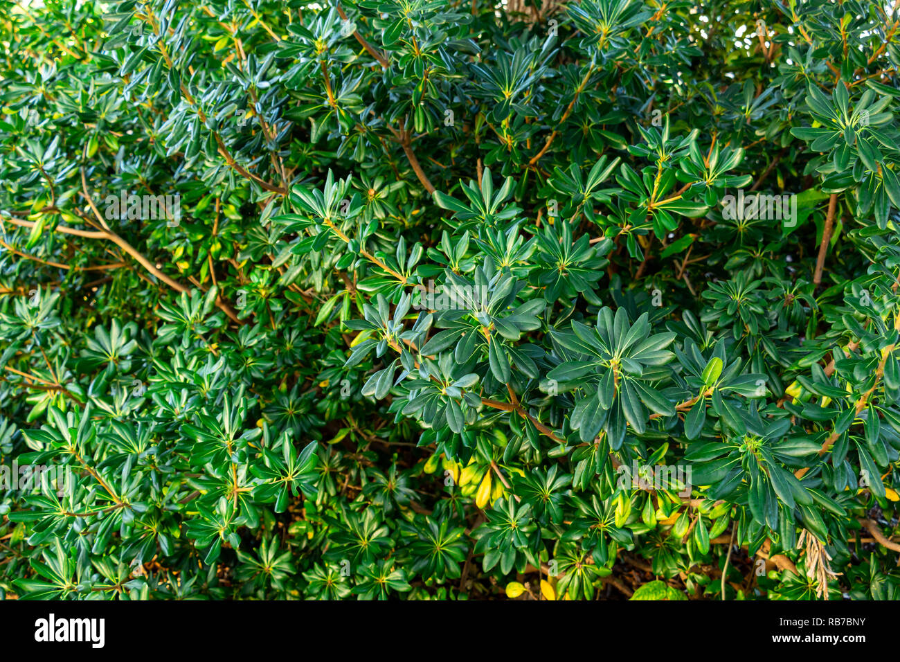 Ma Terre De Bruyere Le Portail Est Ouvert Entrez