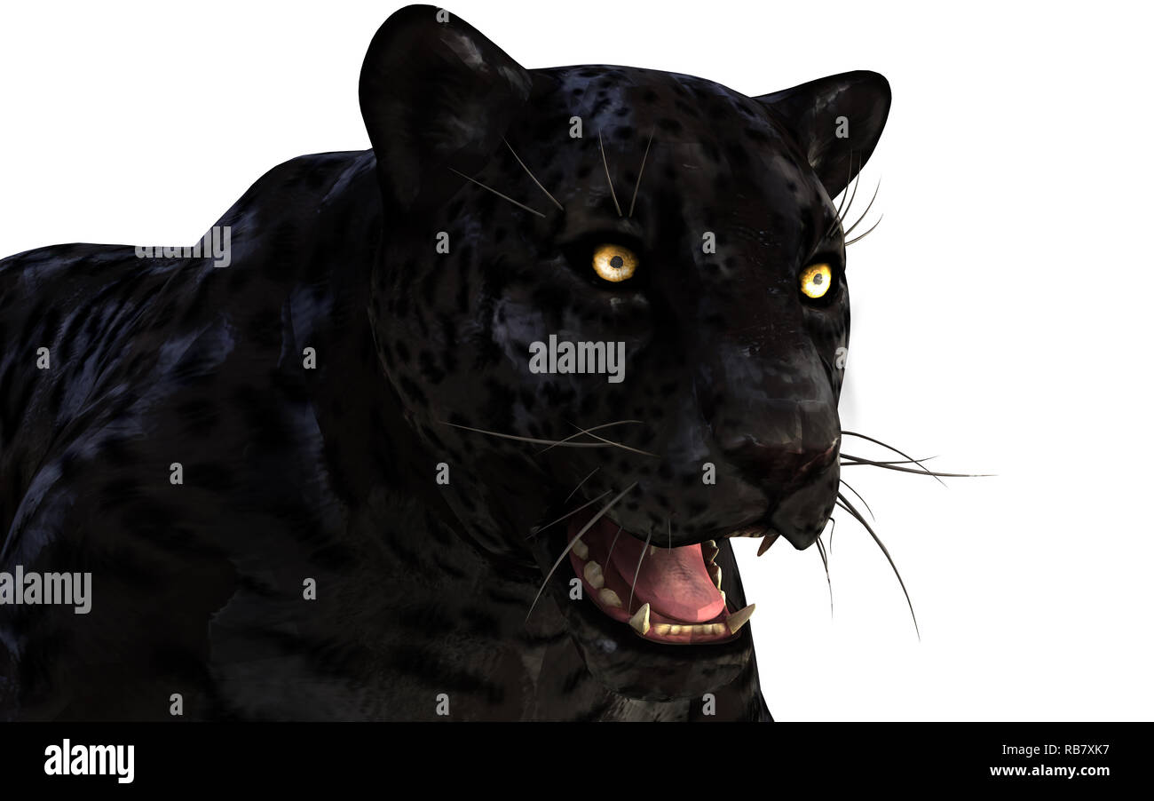 Illustration 3d isoler la panthère noire sur fond blanc avec chemin de détourage, Black Tiger Banque D'Images