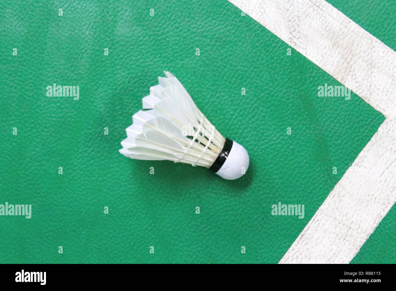 Le joueur de badminton blanc Banque D'Images