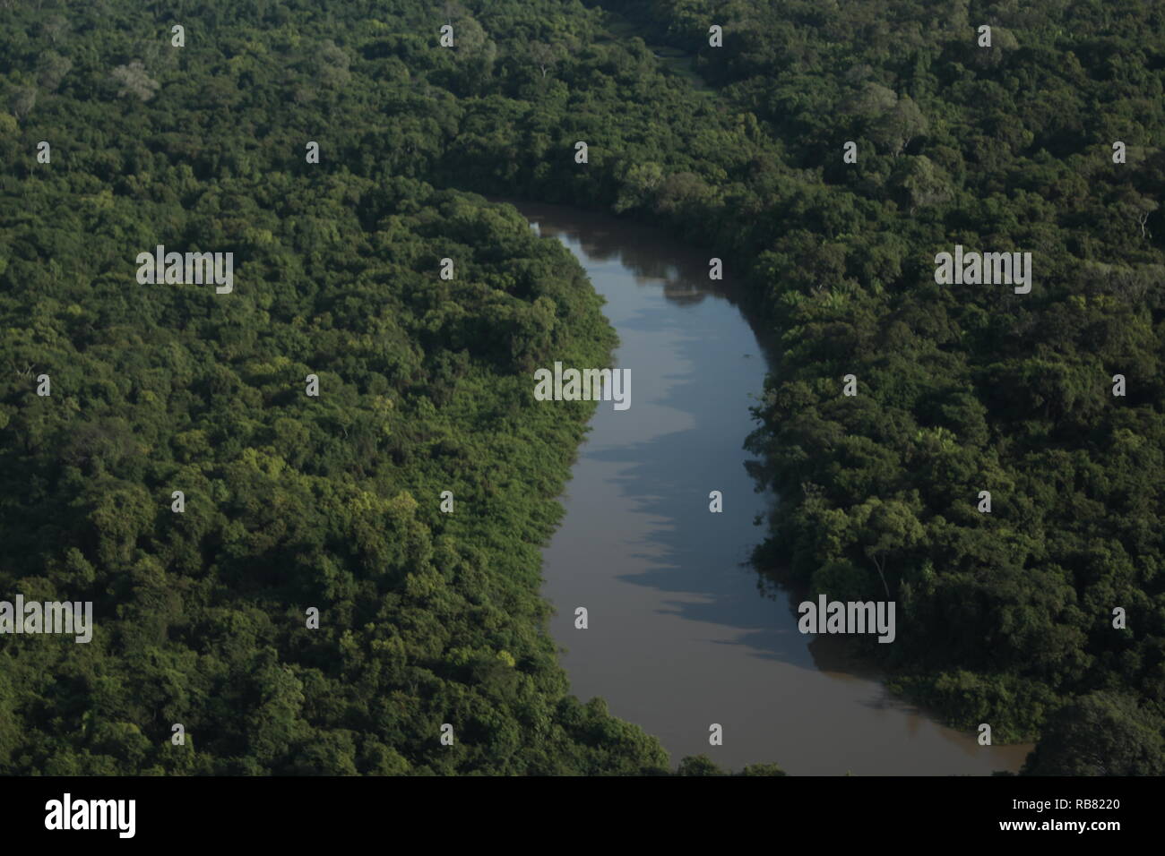 Pantanal incroyable de voir d'avion. Banque D'Images