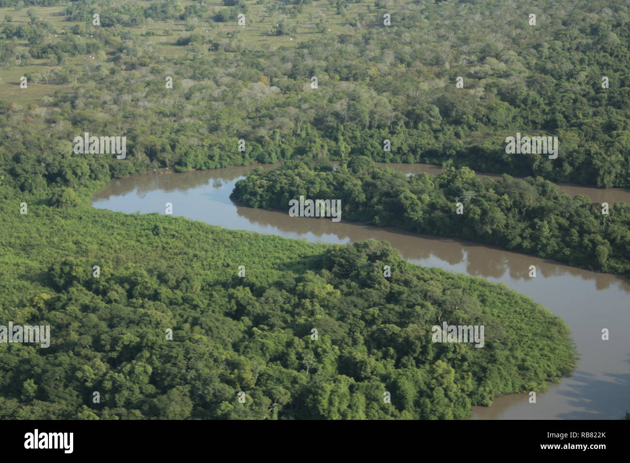 Pantanal incroyable de voir d'avion. Banque D'Images