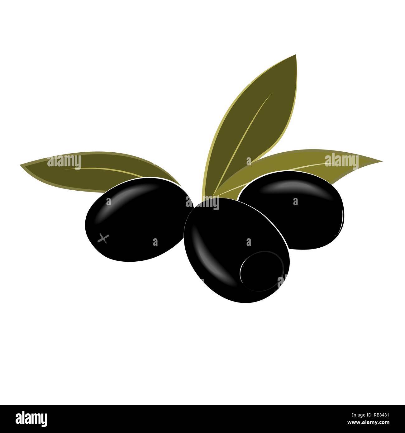 Cartoon olives dénoyautées noir isolé sur blanc. Vector illustration. Illustration de Vecteur