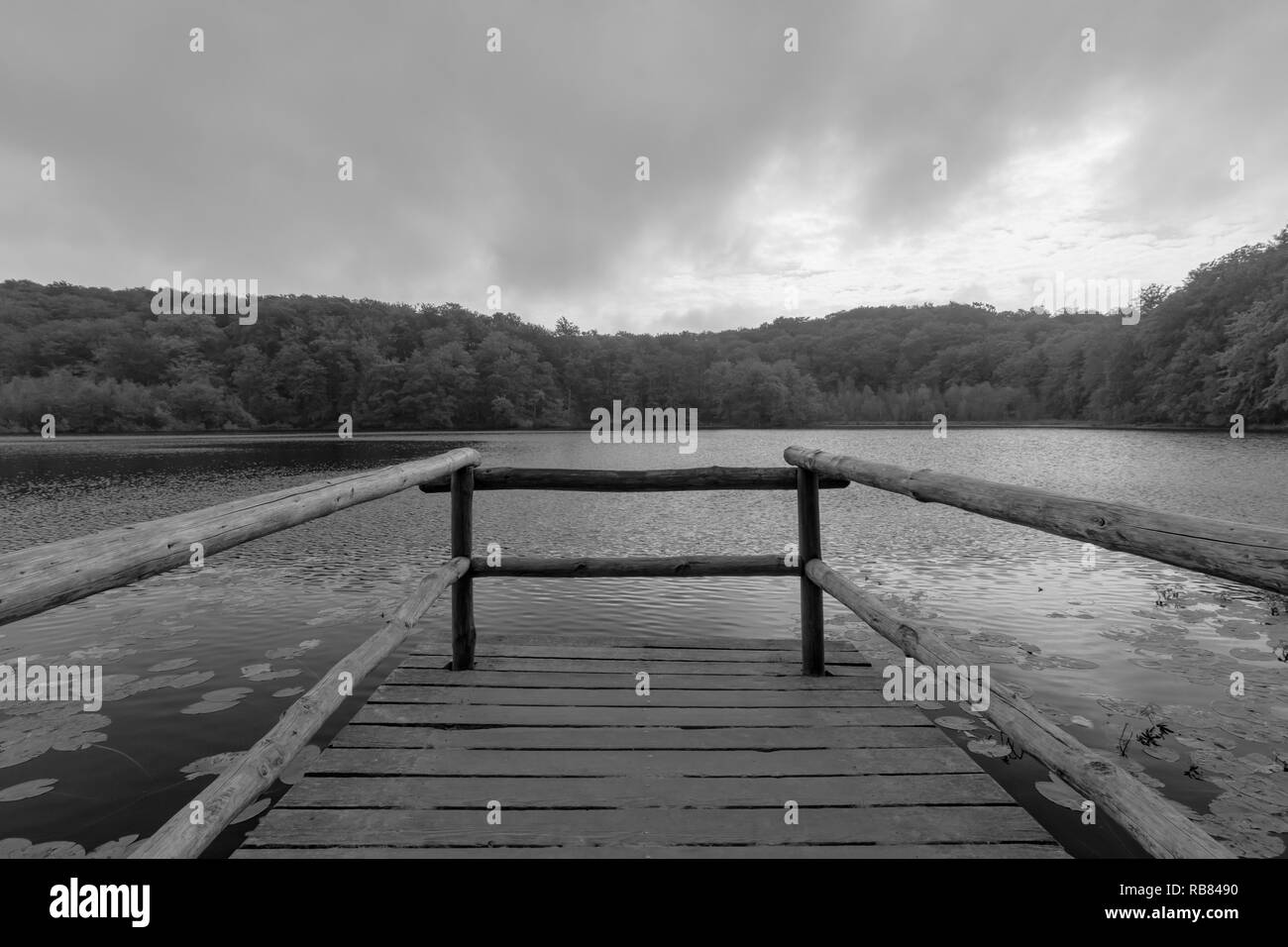 Embarcadère pour le lac en face d'une forêt avec un ciel nuageux Banque D'Images