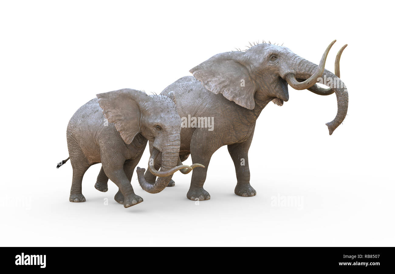 Illustration 3d'isoler l'éléphant sur fond blanc avec chemin de détourage. Éléphant albinos. Banque D'Images
