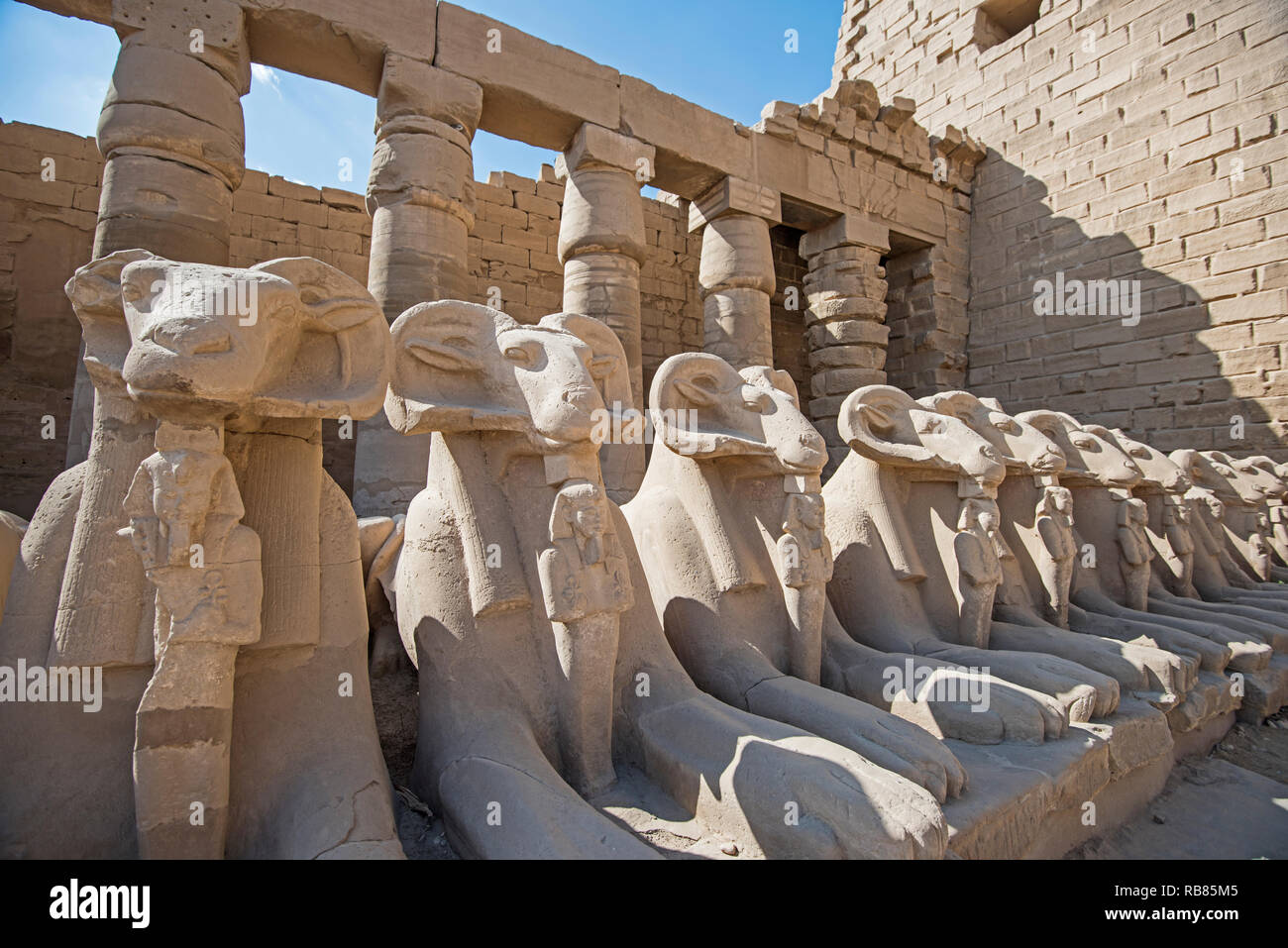 Avenue de sphinx tête Ram de l'Égypte ancienne au Temple de Karnak à Louxor Banque D'Images