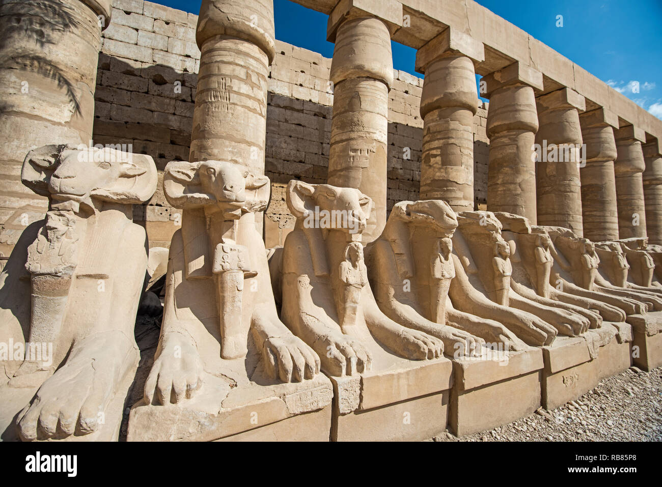 Avenue de sphinx tête Ram de l'Égypte ancienne au Temple de Karnak à Louxor Banque D'Images