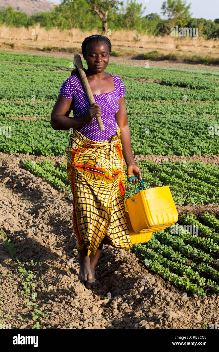 Membre de la coopérative de femmes dans un champ en Karsome, Togo. Banque D'Images