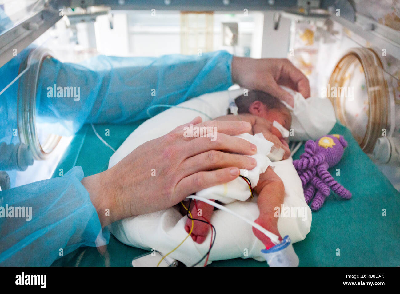 Une infirmière prend soin de pépinière d'un bébé prématuré. L'hôpital. Aix en Provence. Banque D'Images