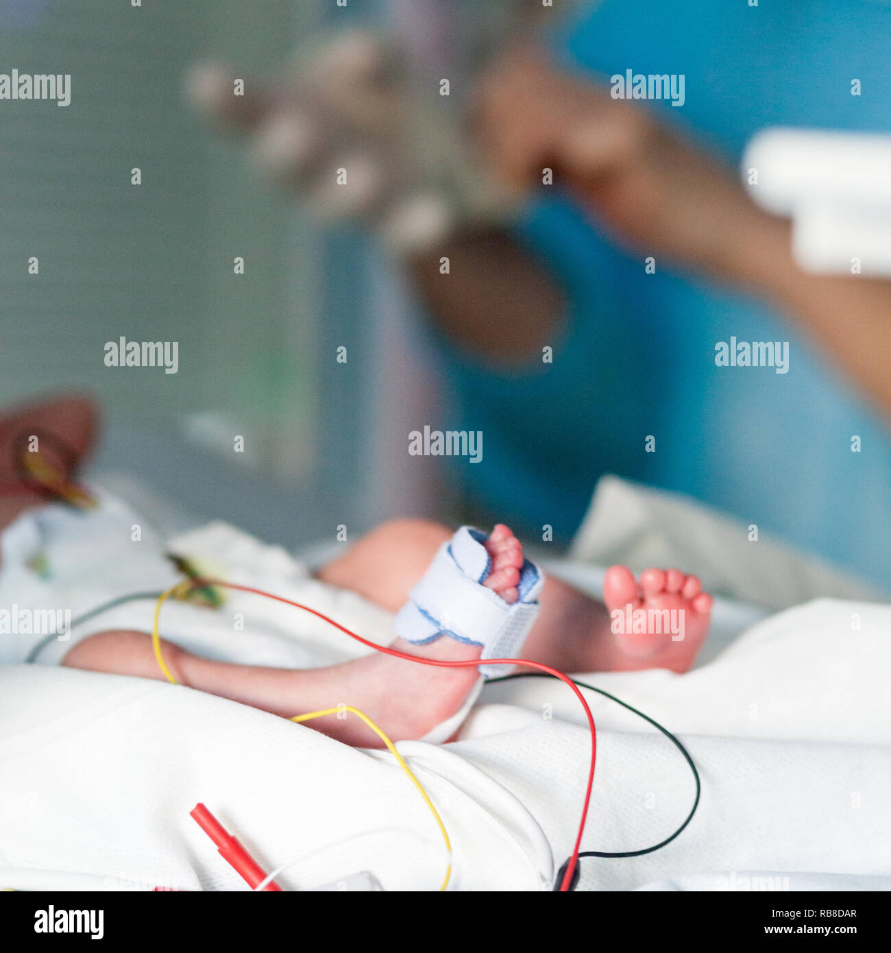 Une infirmière prend soin de pépinière d'un bébé prématuré. L'hôpital. Aix en Provence. Banque D'Images