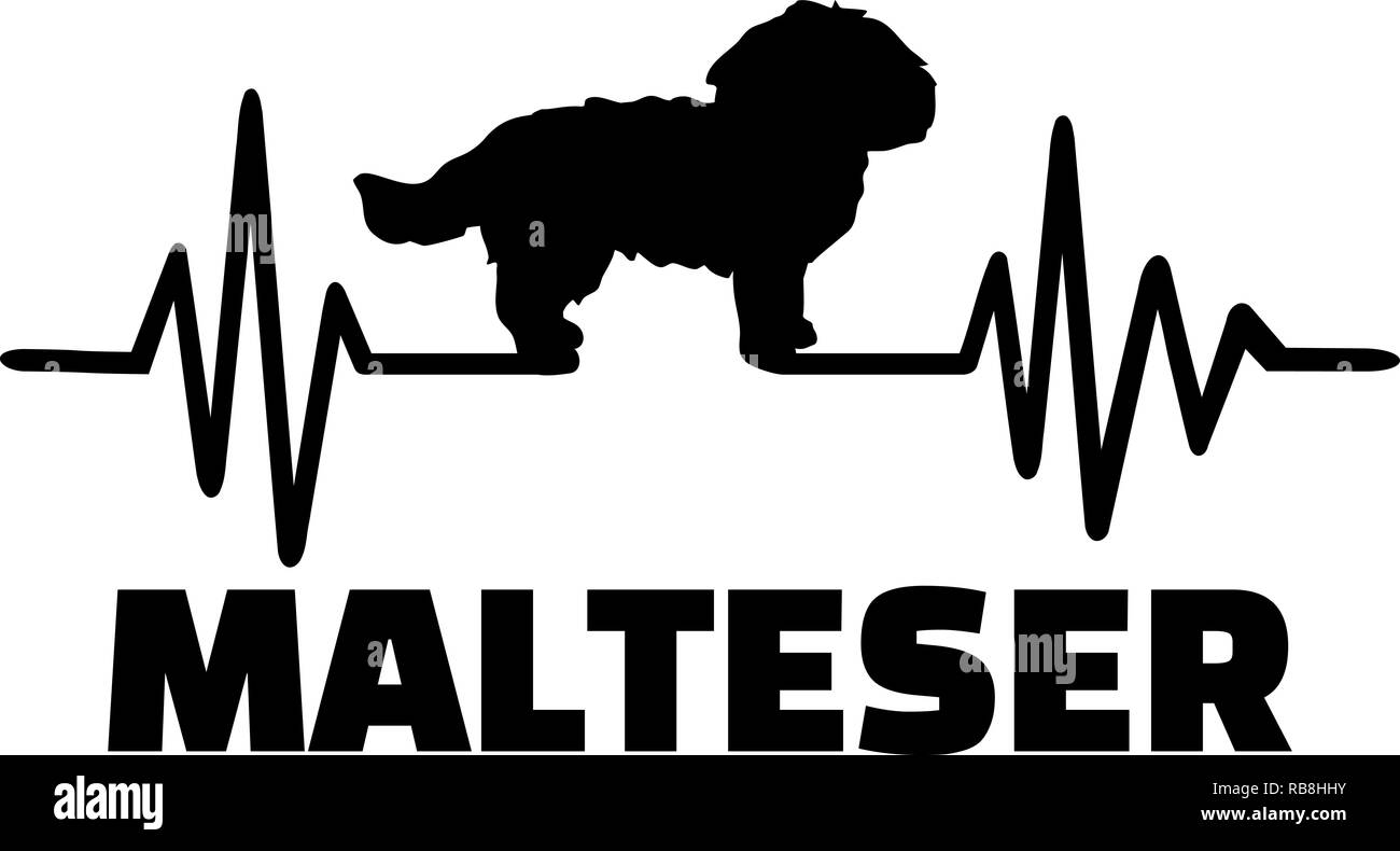 Impulsion de signal de ligne avec Maltese dog allemand silhouette Banque D'Images