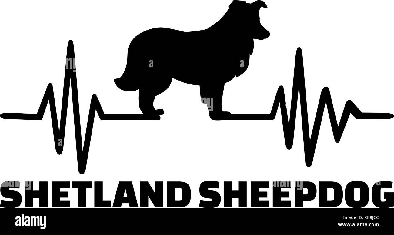 Impulsion de signal de ligne avec Shetland Sheepdog dog silhouette Banque D'Images