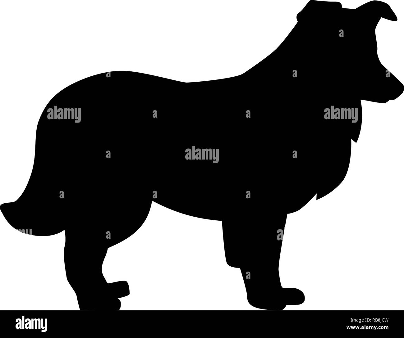 Shetland Sheepdog silhouette du vrai en noir Banque D'Images